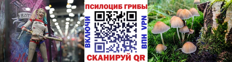 Галлюциногенные грибы мицелий  нарко площадка наркотические препараты  Топки  купить  