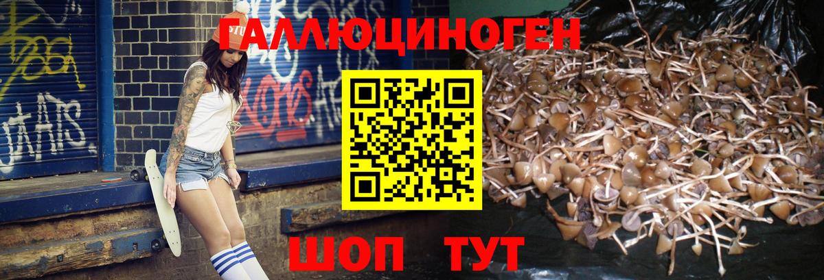 Псилоцибиновые грибы прущие грибы Топки